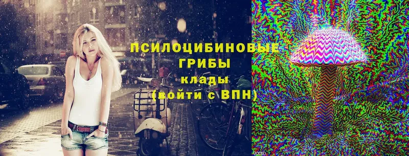 Галлюциногенные грибы MAGIC MUSHROOMS  где купить наркоту  Уварово 